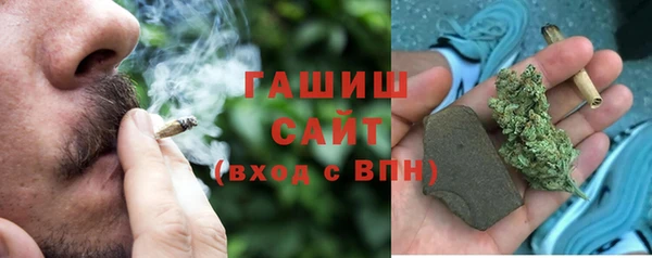 гидра Пересвет