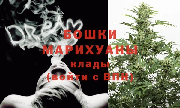 дмт Пестово