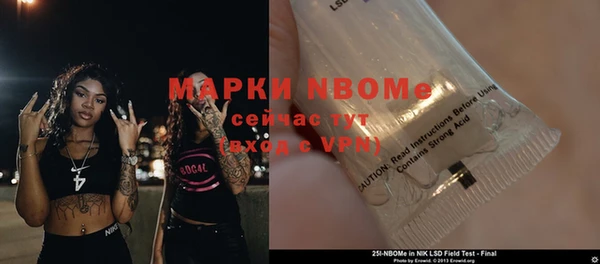дмт Пестово