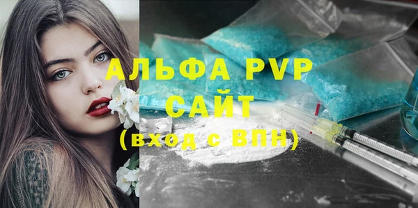 дмт Пестово