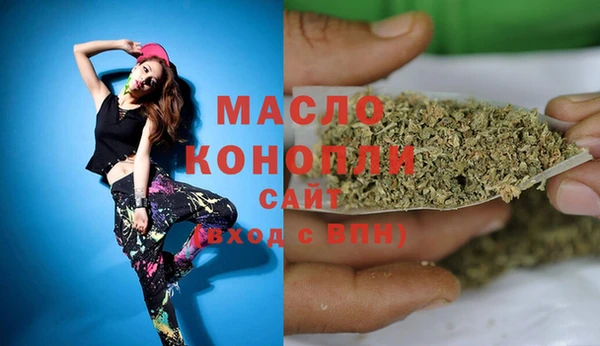 дмт Пестово