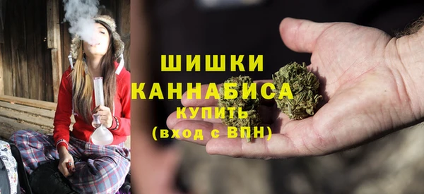 мдпв Осташков