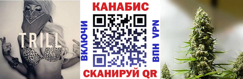 Купить закладки  Чкаловск  Канабис индика 